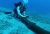 Elsewhere in Telefónica Infra-Tech: Telxius lands subsea cable