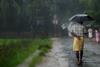 Monsoon Walk Umbrella