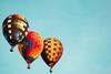 People, Alumni – hot air balloons aaron-burden-GFpxQ2ZyNc0-unsplash