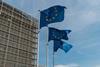 emeaiw_iris2-update