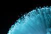 emeaiw-tt-mo-vf-spain-fibre-stake-sale