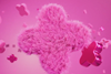 btw367-tt-plusnet fy