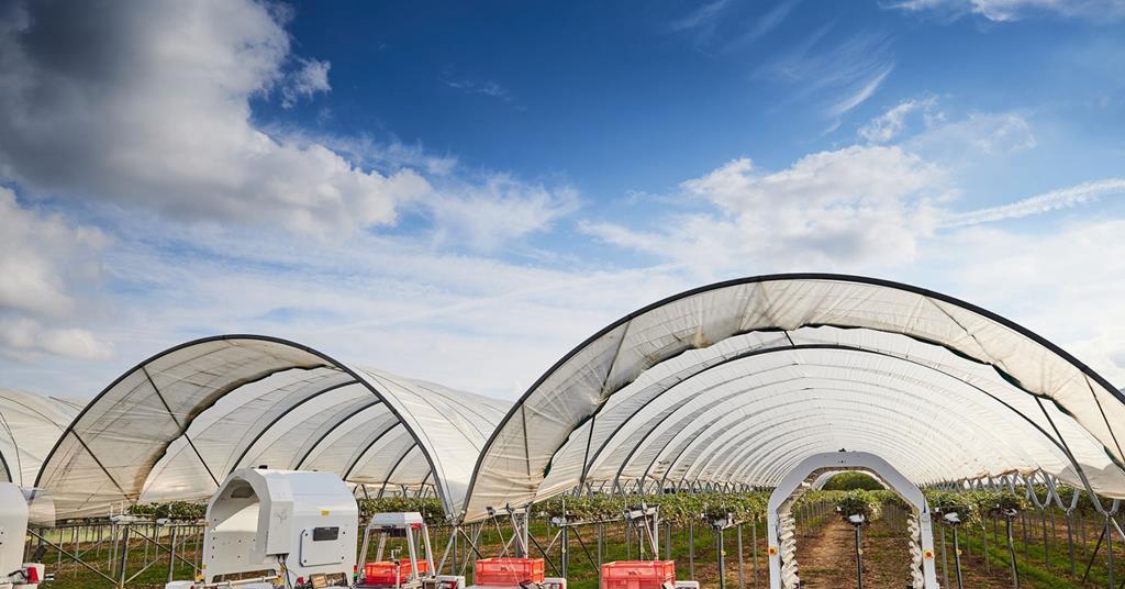 Elsewhere in BT Technology: BT supplies smart agriculture platform ...