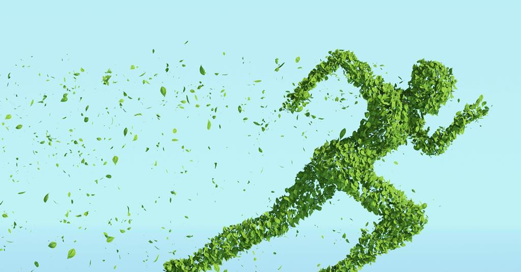 Telekom Deutschland scopes out strategies to drive green progress ...