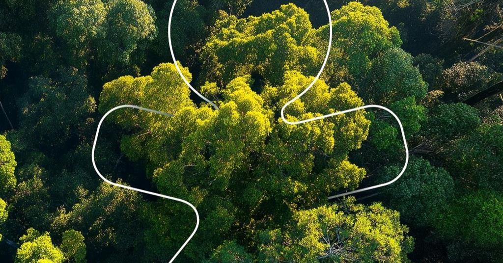Cost-conscious Vivo pushes to reset Brazilian tower supply