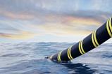 Ciena, Infinera tapped for submarine capacity