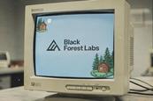 dtw149-blackforestlabs