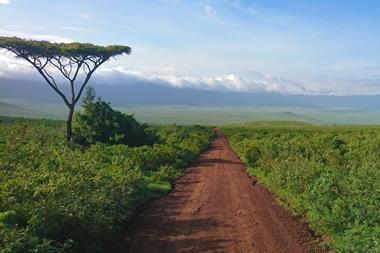 vfw210-tt-vf-tanzania-5g