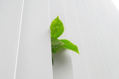 Elsewhere in Telefónica Hispanoamérica: Eco Rating Scheme introduced across markets