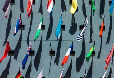 vfw243-partner markets and brand