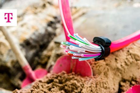 dtw146-tt-fibre