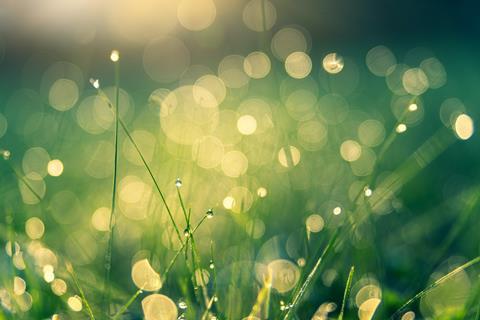 Elsewhere in Systems Solutions: Envision Digital to help reduce German CO2 emissions after pilot